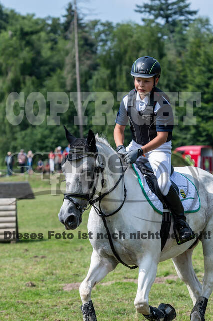 Goldene Schärpe 2021 - Ponys