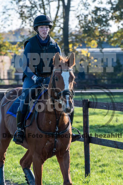 Vielseitigkeitslehrgang mit Jürg Kurbel (9.+10.11.2019)