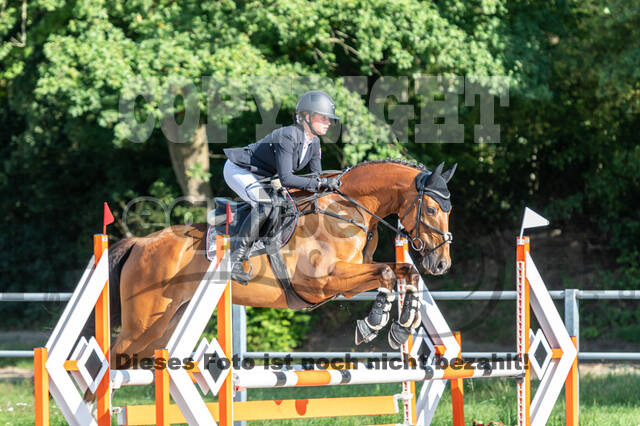 Late-Entry-Vielseitigkeit Langenfeld (06.+07.07.2020)