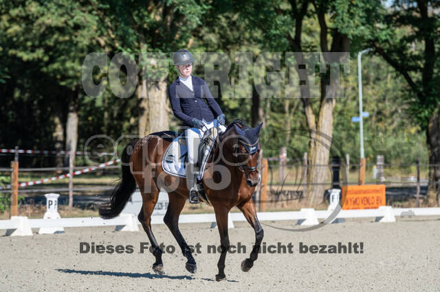 Kronenberg - De Peelbergen (August 2020)