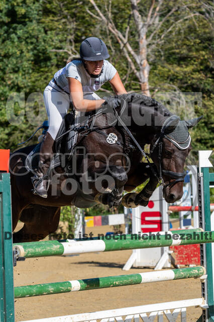 RFV Dinslaken-Hiesfeld (Herbstturnier)