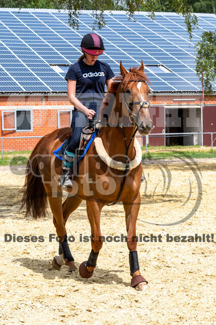 Hunter Geländetraining 10.07.2021 (Sonsbeck)