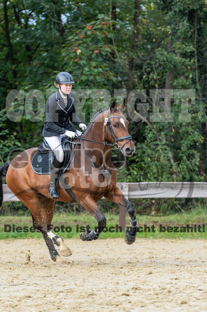 Vielseitigkeit RSV Wesel Obrighoven (26.+27.09.2020)