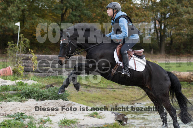 IGV Lehrgang der Sieger der Cups mit Frank Ostholt