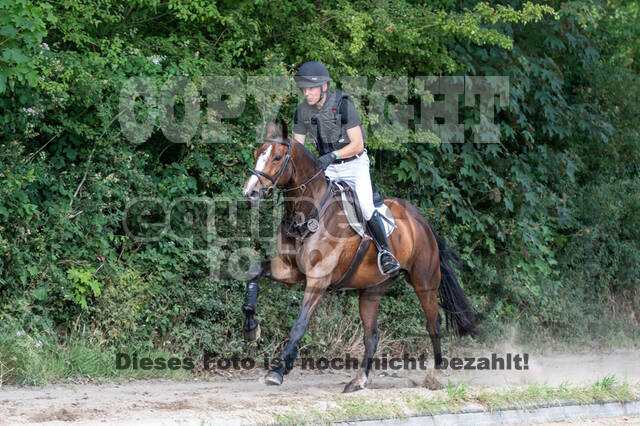 Late-Entry-Vielseitigkeit Langenfeld (11.+13./14.06.2020)