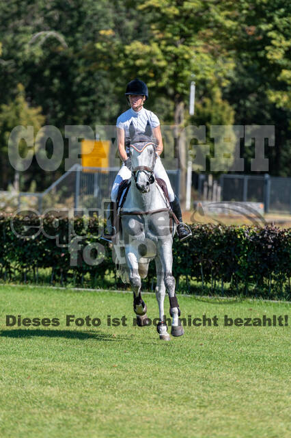 Kronenberg - De Peelbergen (August 2020)