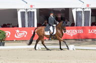 FEI European Championship Eventing 2017