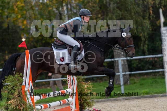 Goldene Schärpe 2020 - Pferde