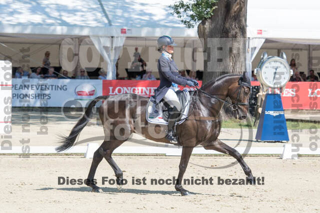 FEI European Championship