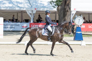 FEI European Championship