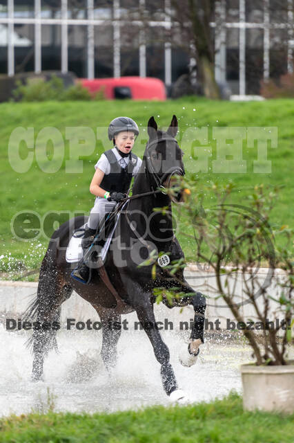 Goldene Schärpe 2020 - Pferde