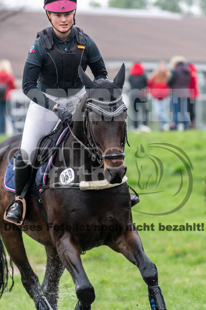 Goldene Schärpe 2020 - Pferde