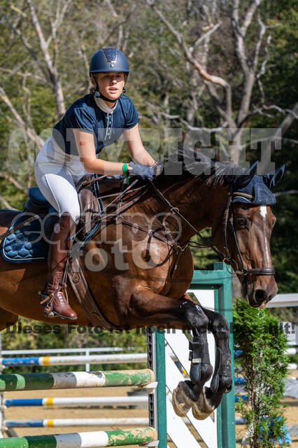 RFV Dinslaken-Hiesfeld (Herbstturnier)