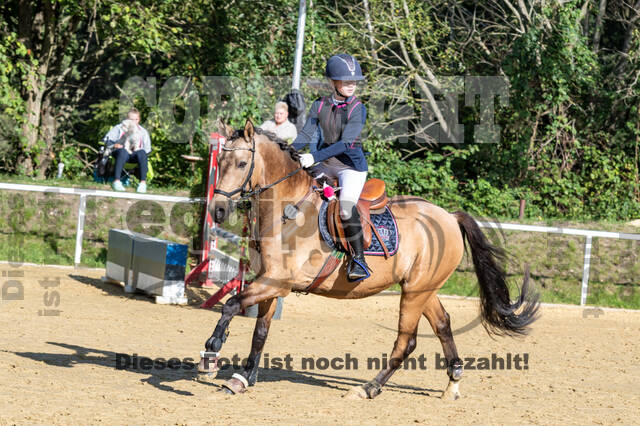 RFV Dinslaken-Hiesfeld (Herbstturnier)