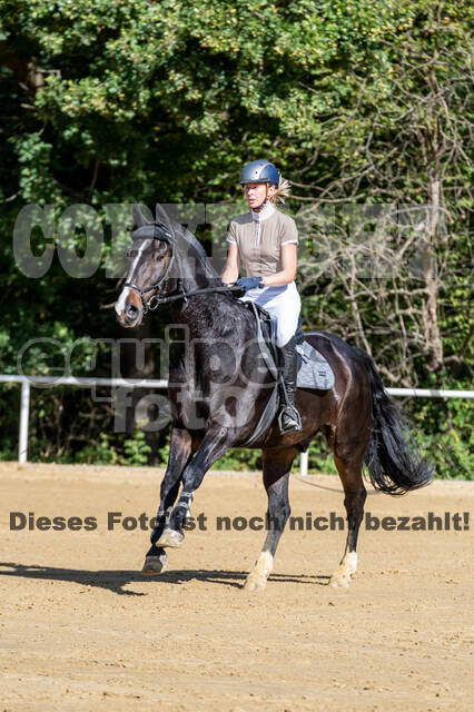 RFV Dinslaken-Hiesfeld (Herbstturnier)
