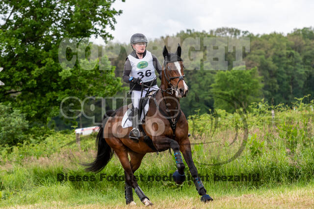 Westerstede Horse Trials 2021