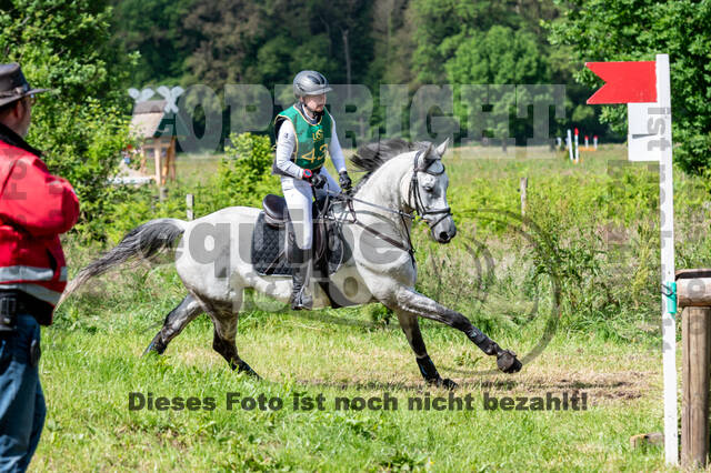 Westerstede Horse Trials (10.-13.06.2021)