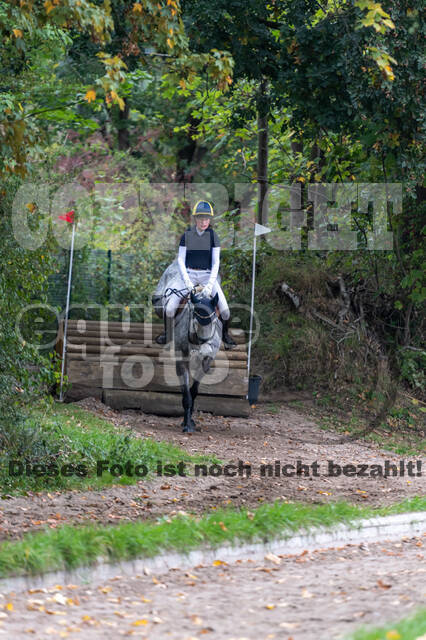 Goldene Schärpe 2020 - Pferde