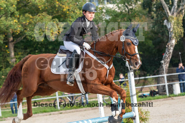 Goldene Schärpe 2020 - Pferde