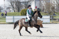 Eventing Langenfeld 2018