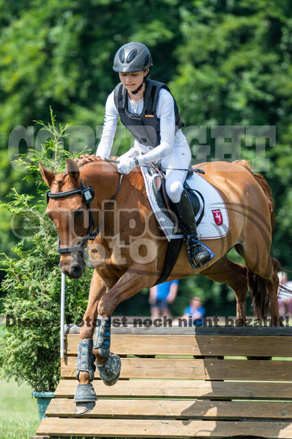 Goldene Schärpe 2021 - Ponys