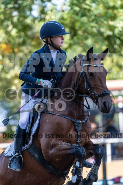 RFV Dinslaken-Hiesfeld (Herbstturnier)
