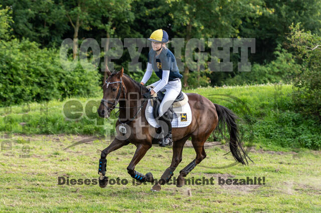 Goldene Schärpe 2021 - Ponys