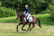 Goldene Schärpe 2021 - Ponys
