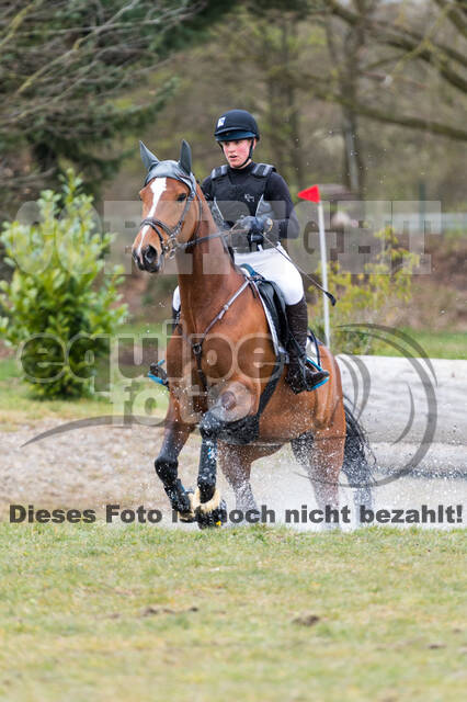 Eventing im Pferdesportzentrum Rheinland (Late Entry 14.03.2022)