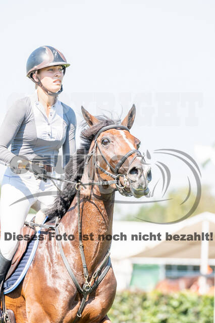 Kronenberg - De Peelbergen (August 2020)