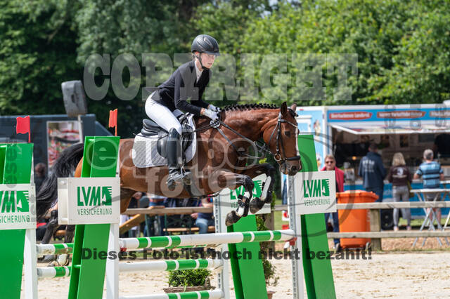 Goldene Schärpe 2021 - Ponys