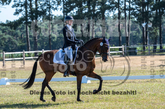 Kronenberg - De Peelbergen (August 2020)