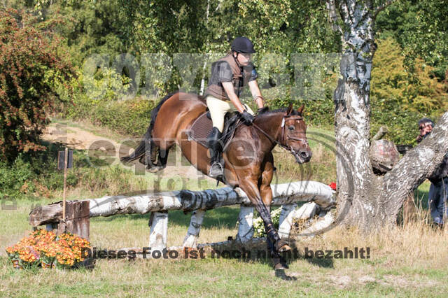 Vielseitigkeitsturnier RSV St. Hubertus Wesel Obrighoven