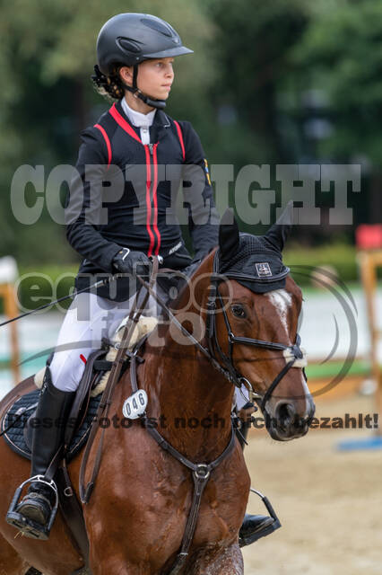 Goldene Schärpe 2021 - Ponys