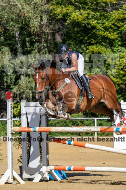 RFV Dinslaken-Hiesfeld (Herbstturnier)