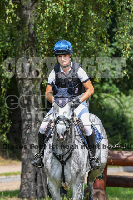 Late-Entry-Vielseitigkeit Langenfeld (11.+13./14.06.2020)