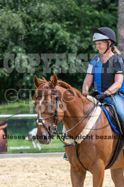 Hunter Geländetraining 10.07.2021 (Sonsbeck)