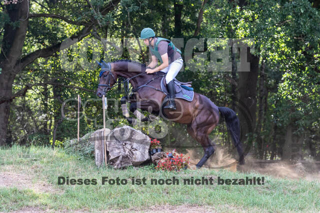 Late-Entry Vielseitigkeit Hamminkeln/Wesel (01.+02.08.2020)