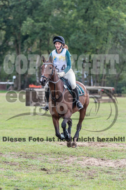 Vielseitigkeit RSV Wesel Obrighoven (26.+27.09.2020)