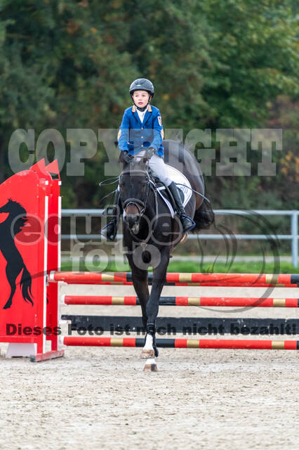 Goldene Schärpe 2020 - Pferde