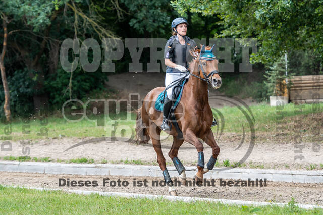 Late-Entry-Vielseitigkeit Langenfeld (11.+13./14.06.2020)