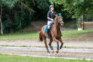 Late-Entry-Vielseitigkeit Langenfeld (11.+13./14.06.2020)