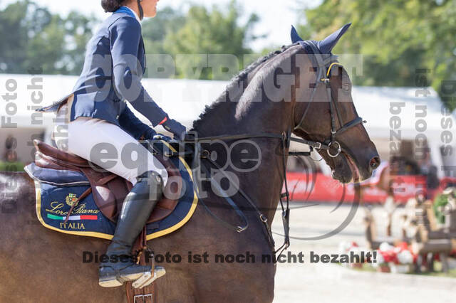FEI European Championship