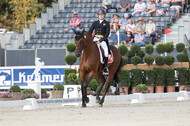 FEI European Championship Eventing 2019