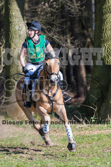 Geländetage beim RSV St. Hubertus Wesel Obrighoven (26.+27.03.2022)