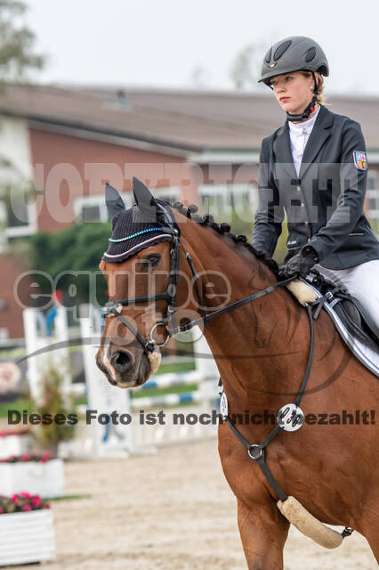 Goldene Schärpe 2020 - Pferde