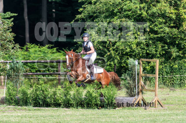 Goldene Schärpe 2021 - Ponys