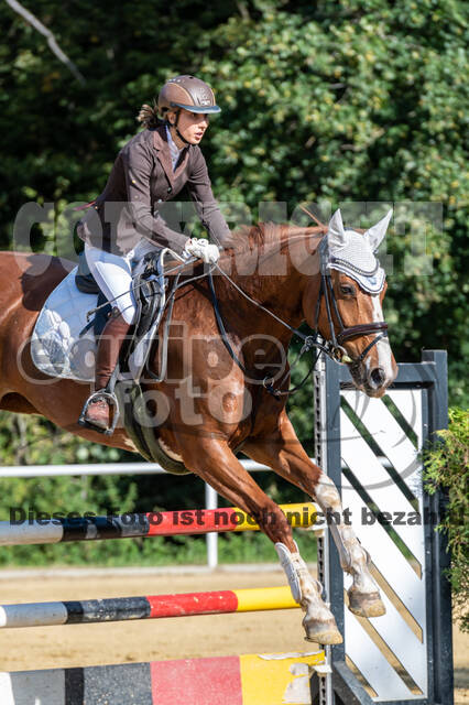 RFV Dinslaken-Hiesfeld (Herbstturnier)