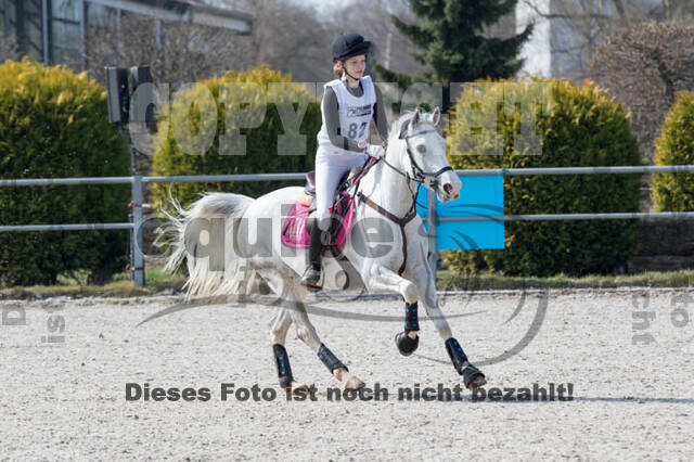 Eventing Langenfeld 2018