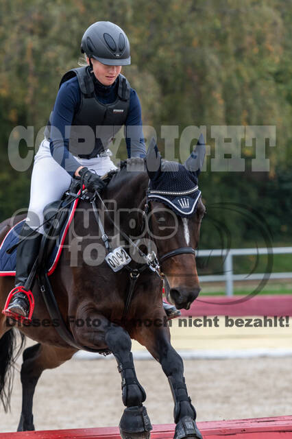 Goldene Schärpe 2020 - Pferde